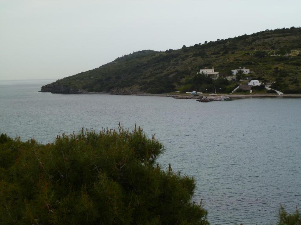 Liberty II Hotell Agia Marina  Eksteriør bilde